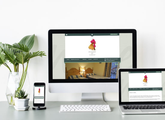 pension el gallo mockup