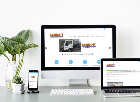 sabiant mockup